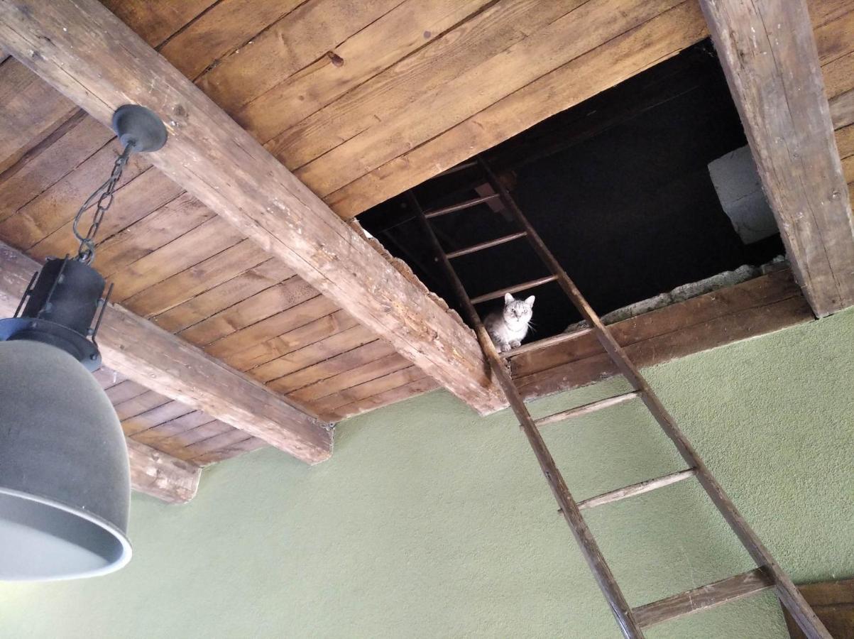 Ubytovani U Malinkovicu Břeclav Dış mekan fotoğraf